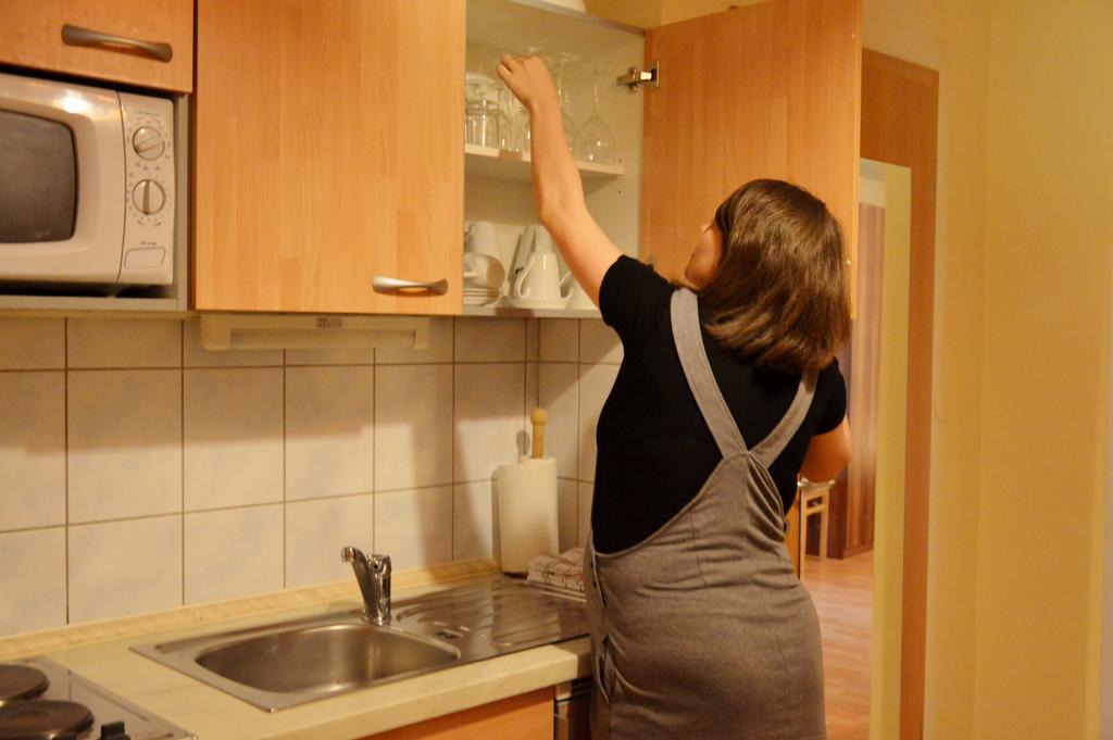 Turisticna Kmetija Cebelji Gradic Apartment Rogašovci Екстериор снимка